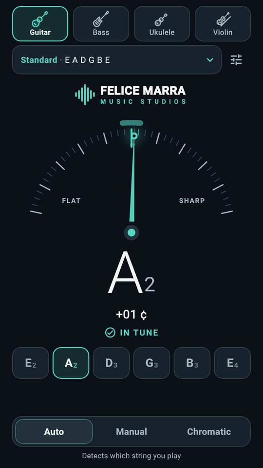 Screenshot 1 of Guitar Tuner – Bass & Ukulele