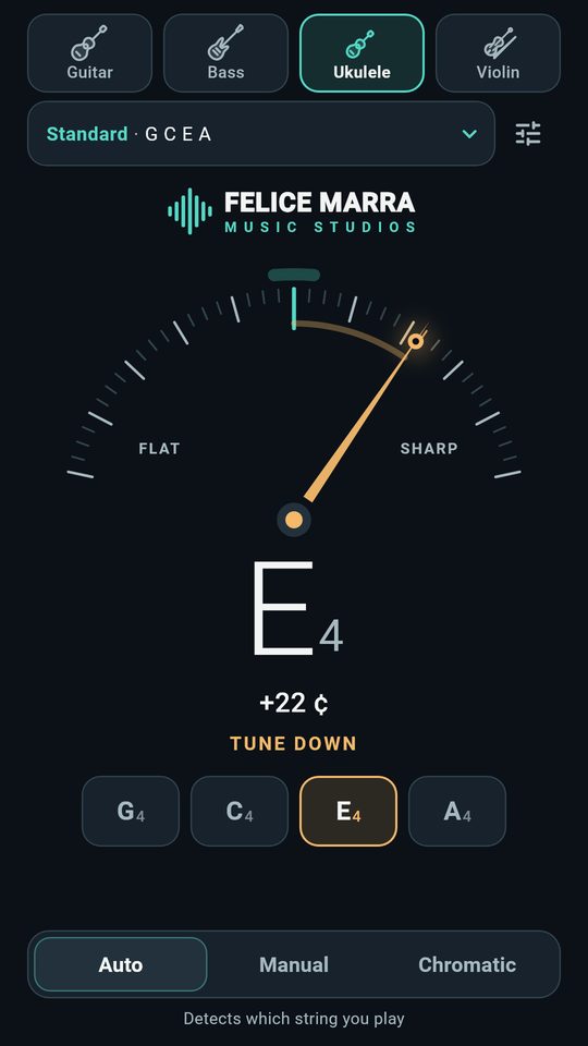 Screenshot 3 of Guitar Tuner – Bass & Ukulele