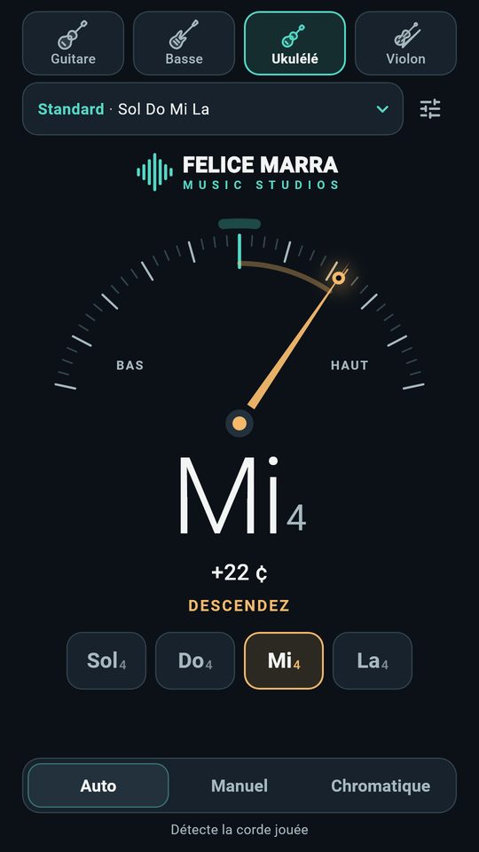 Capture d'écran 3 de Accordeur Guitare et Basse