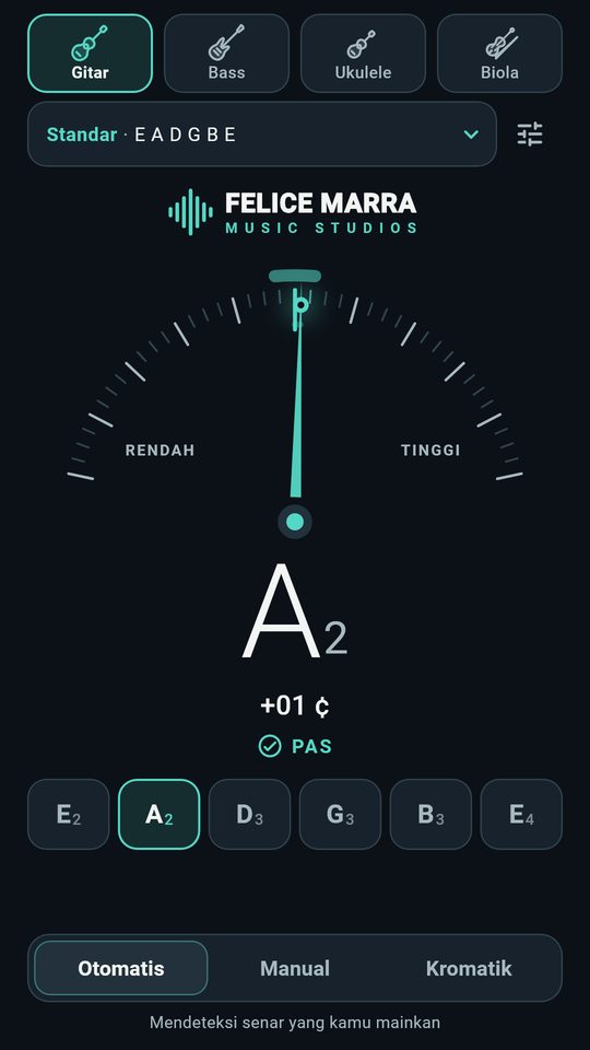 Tangkapan layar 1 dari Stem Gitar – Bass & Ukulele
