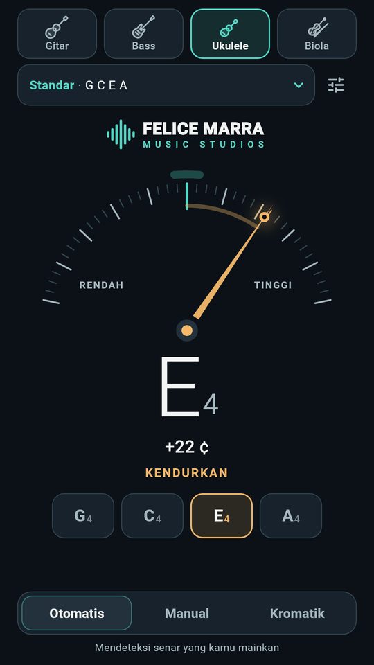 Tangkapan layar 3 dari Stem Gitar – Bass & Ukulele