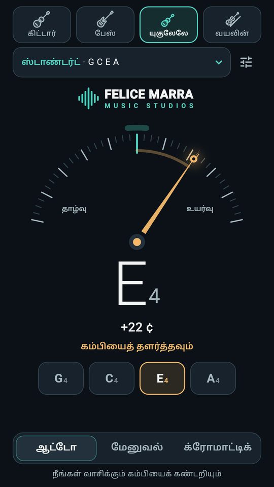 கிட்டார் ட்யூனர், வயலின், பேஸ் ஸ்கிரீன்ஷாட் 3